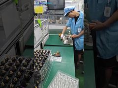 บริสค์สปริง